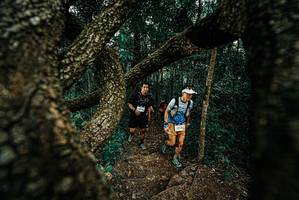 BIB: 
                            <button type="button" onclick="openModal(25696549)" class="btn btn-primary btn-sm float-right btn-popup" data-toggle="modal" data-target=".modal-high-quality">
                        <i class="fas fa-shopping-cart"></i> Add to Cart
                    </button>
                                            <button type="button" onclick="isThisMe(25696549, true)" class="btn btn-success btn-sm float-right btn-popup btn-isme hidden" data-toggle="tooltip" data-placement="bottom" title="นี่คือรูปของคุณใช่ไหม คลิกที่นี่เพื่อเอาเข้าอัลบั้ม">
                        <i class="fas fa-plus"></i> Add to album
                    </button>
                    <button type="button" onclick="isThisMe(25696549, false)" class="btn btn-warning btn-sm float-right btn-popup btn-isnotme hidden">
                        <i class="fas fa-ban"></i> Remove from album
                    </button>